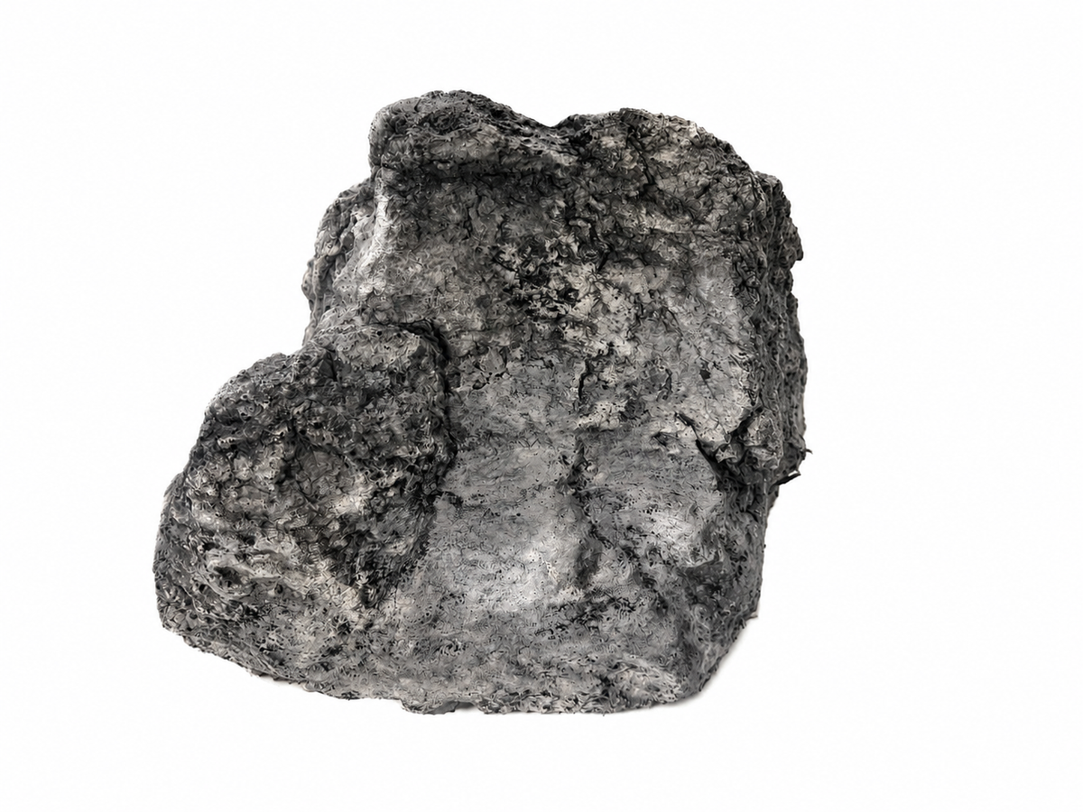 Rockwork For Your Exhibits, Funding Fieldwork  For Monitor Lizards