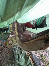 Field Season Support